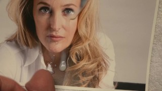 Cum Tribue: Gillian Leigh Anderson (Dana Katherine Scully, X-Files)