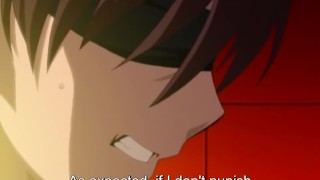 Southern Paradise Island