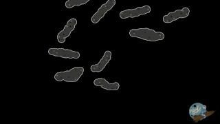 10 Inch Mutant Ninja Turtles – The Cinema Snob